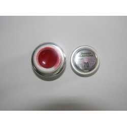 Gel color Evershine 5g #74 Gel color Evershine